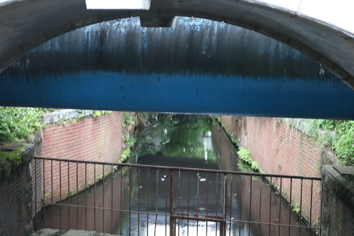 歩飲ALONG Vol.2 with 丹下輝一朗(PROM, Morph) - 前編 -