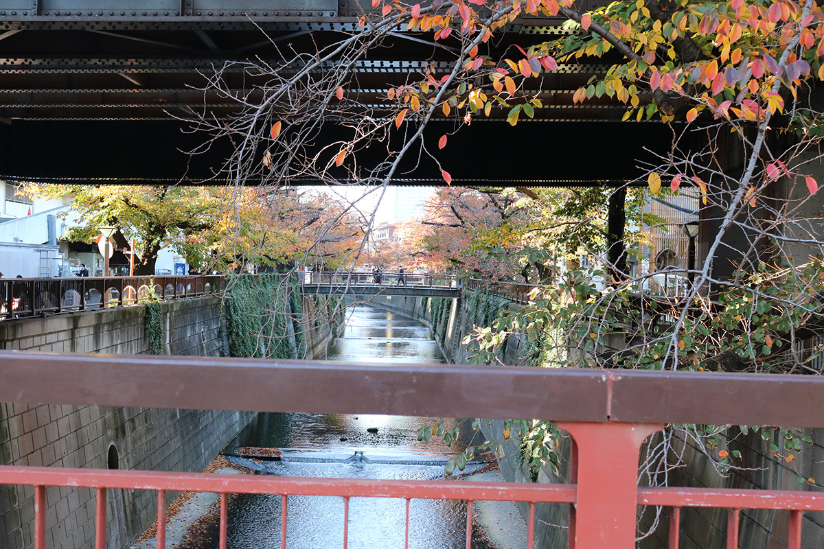 歩飲ALONG Vol.3 with 伊藤秀人(AKUTAGAWA FANCLUB, GATTACA) - 前編 -